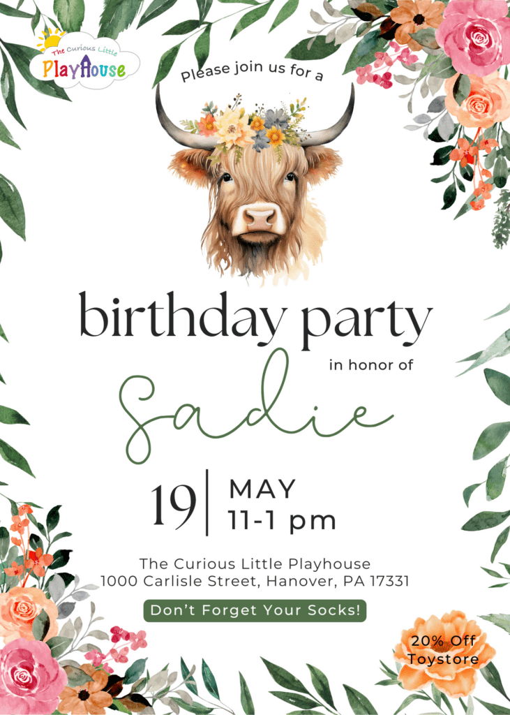 Birthday Party for Sadie