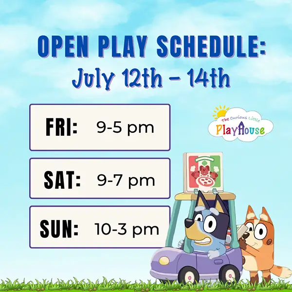 The Curious Little Playhouse Hanover's Favorite Kid's Indoor Playground, Birthday Party Venue