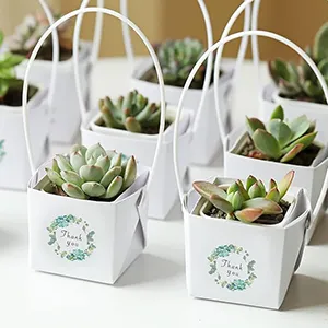 Image for choice number 1